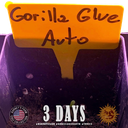 Gorilla Glue | AUTOFEM | Barneys Farm - Freigestellt 2026-05-31