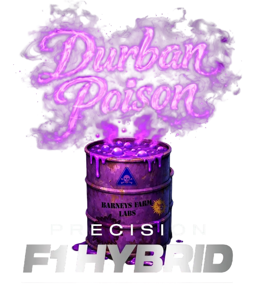 Durban Poison | PHOTOFEM | Barneys Farm - Freigestellt 2026-05-31