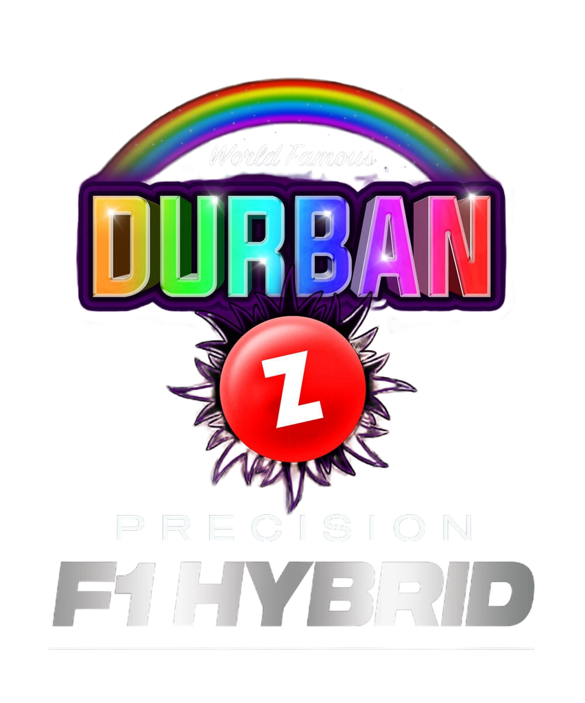 Durban Poison | PHOTOFEM | Barneys Farm - Freigestellt 2026-05-31