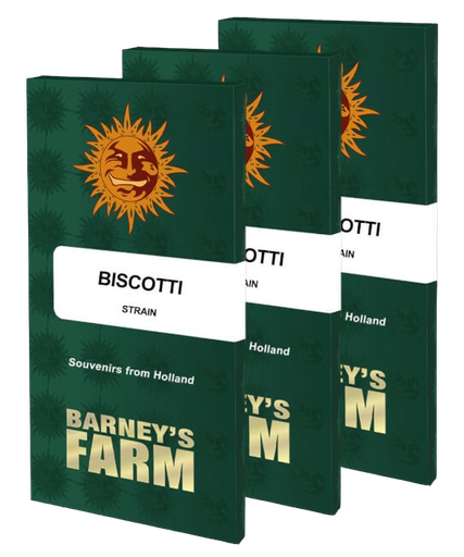 Biscotti | PHOTOFEM | Barneys Farm