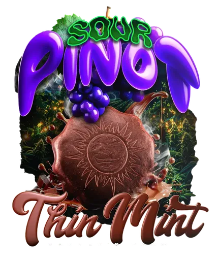 Thin Mint x Sour Pinot | AUTOFEM | Barneys Farm