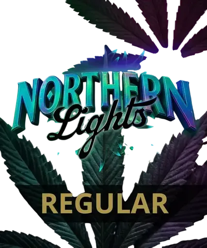 Northern Lights | PHOTOREG | Barneys Farm