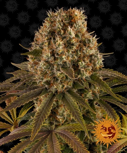 Strawberry Lemonade